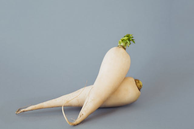 White Radish